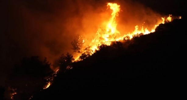 Foto - İzmir'de orman yangını! 1 kişi gözaltına alındı