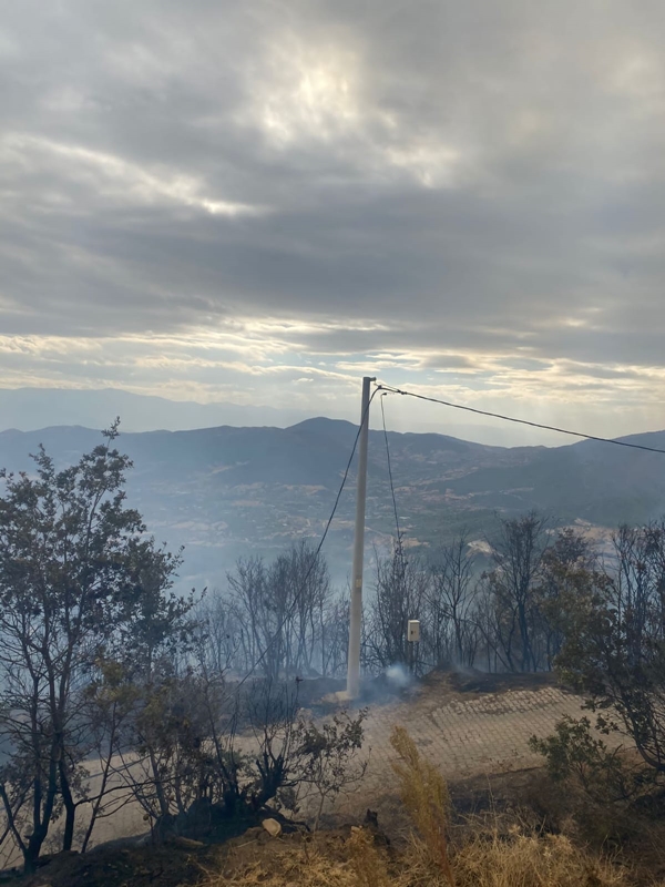 Foto - İzmir'de orman yangını