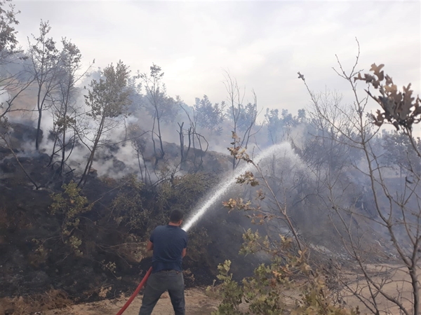 Foto - İzmir'de orman yangını