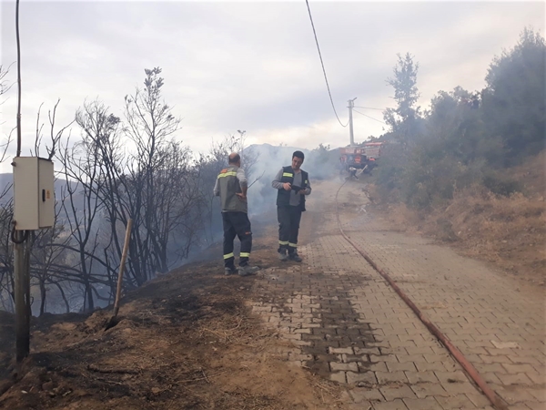 Foto - İzmir'de orman yangını