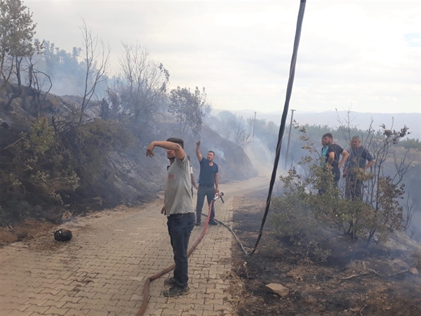 İzmir'de orman yangını