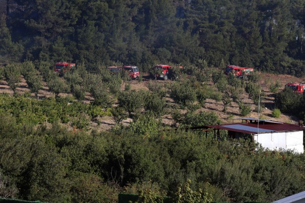 Foto - İzmir'de orman yangını! Müdahale ediliyor