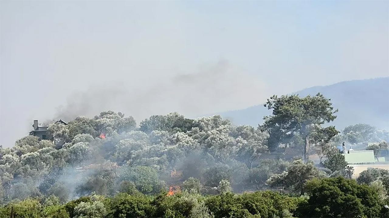 Foto - İzmir’de orman yangını paniği! Alevler evlere dayandı, müdahale sürüyor