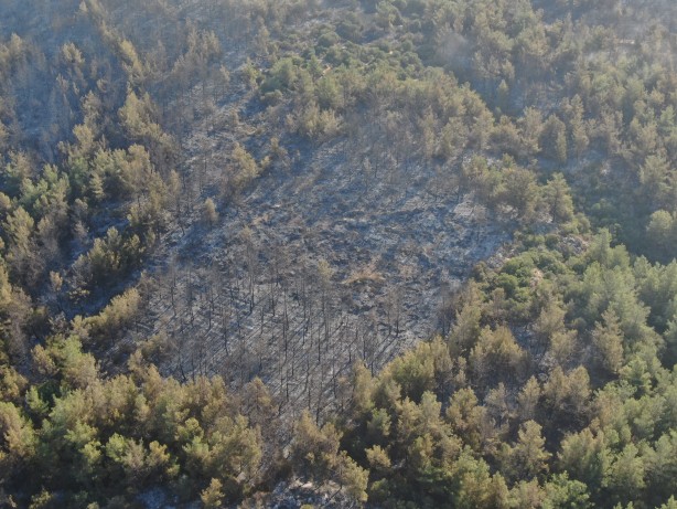 Foto - İzmir'de yangının çıktığı nokta olarak değerlendirilen bölge havadan görüntülendi