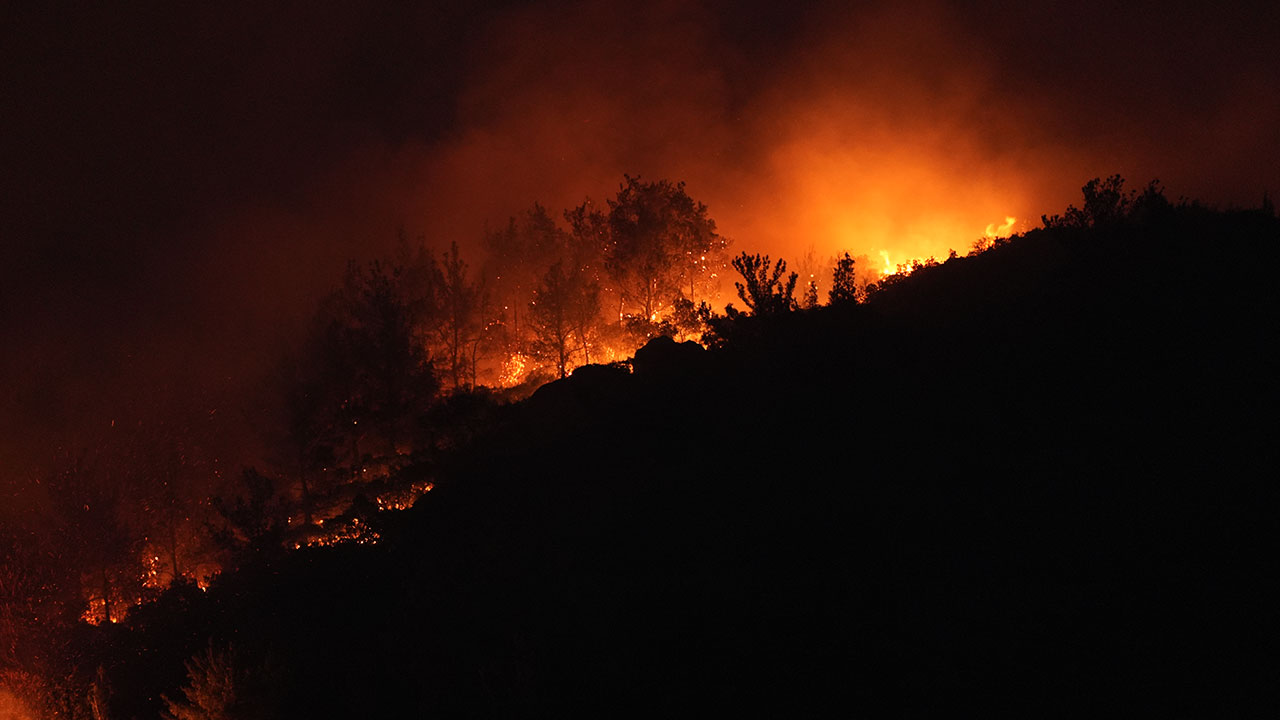 İzmir'deki orman yangını evlere sıçradı! Bölge tahliye ediliyor... Feci görüntüler gün ağarınca ortaya çıktı