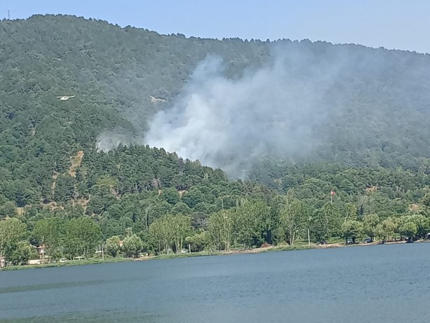 İzmir'deki yangın kontrol altına alındı