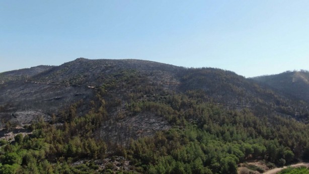 İzmir'deki yangında yanan alanlar, havadan görüntülendi