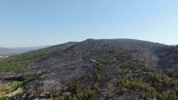 Foto - İzmir'deki yangında yanan alanlar, havadan görüntülendi