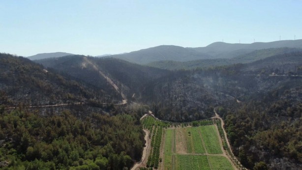 Foto - İzmir'deki yangında yanan alanlar, havadan görüntülendi