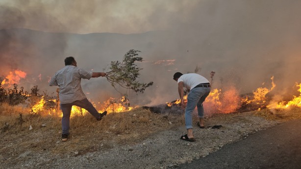 İzmir'in Tire ve Bayındır ilçelerinde orman yangını