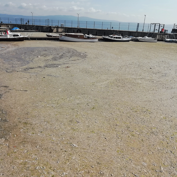 Foto - İzmit Körfezi'nde müsilaj felaketi sürüyor