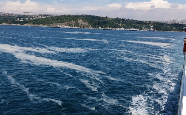 Foto - İzmit Körfezi'nde müsilaj felaketi sürüyor