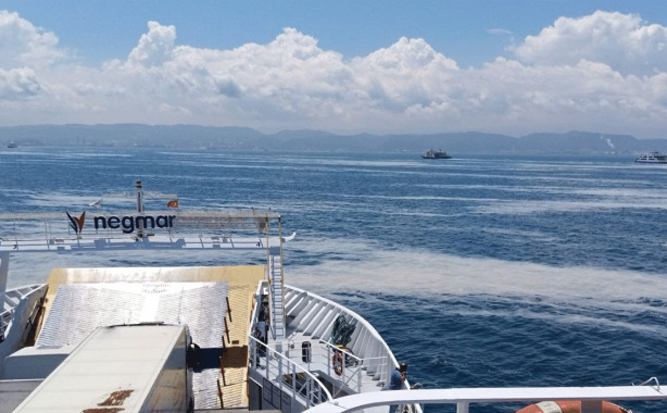 Foto - İzmit Körfezi'nde müsilaj felaketi sürüyor
