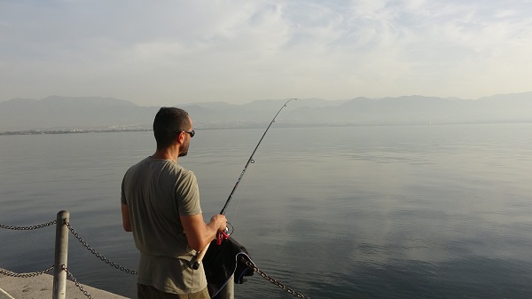 Foto - İzmit Körfezi'ndeki denizanaları tehlikeli mi?