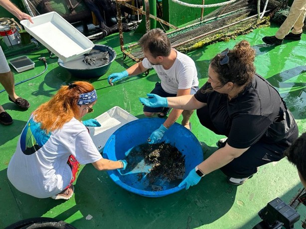 Foto - İzmit Körfezi'ndeki dip çamuru temizliği biyoçeşitliliği artıracak...