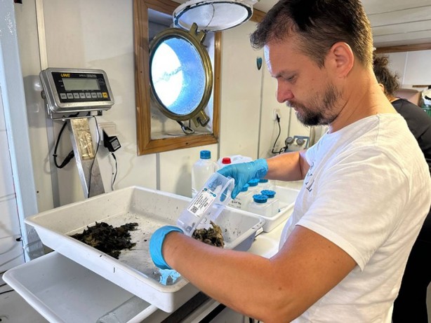 Foto - İzmit Körfezi'ndeki dip çamuru temizliği biyoçeşitliliği artıracak...