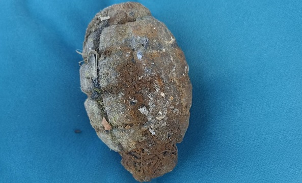 İznik Gölü’nde bakın ne bulundu