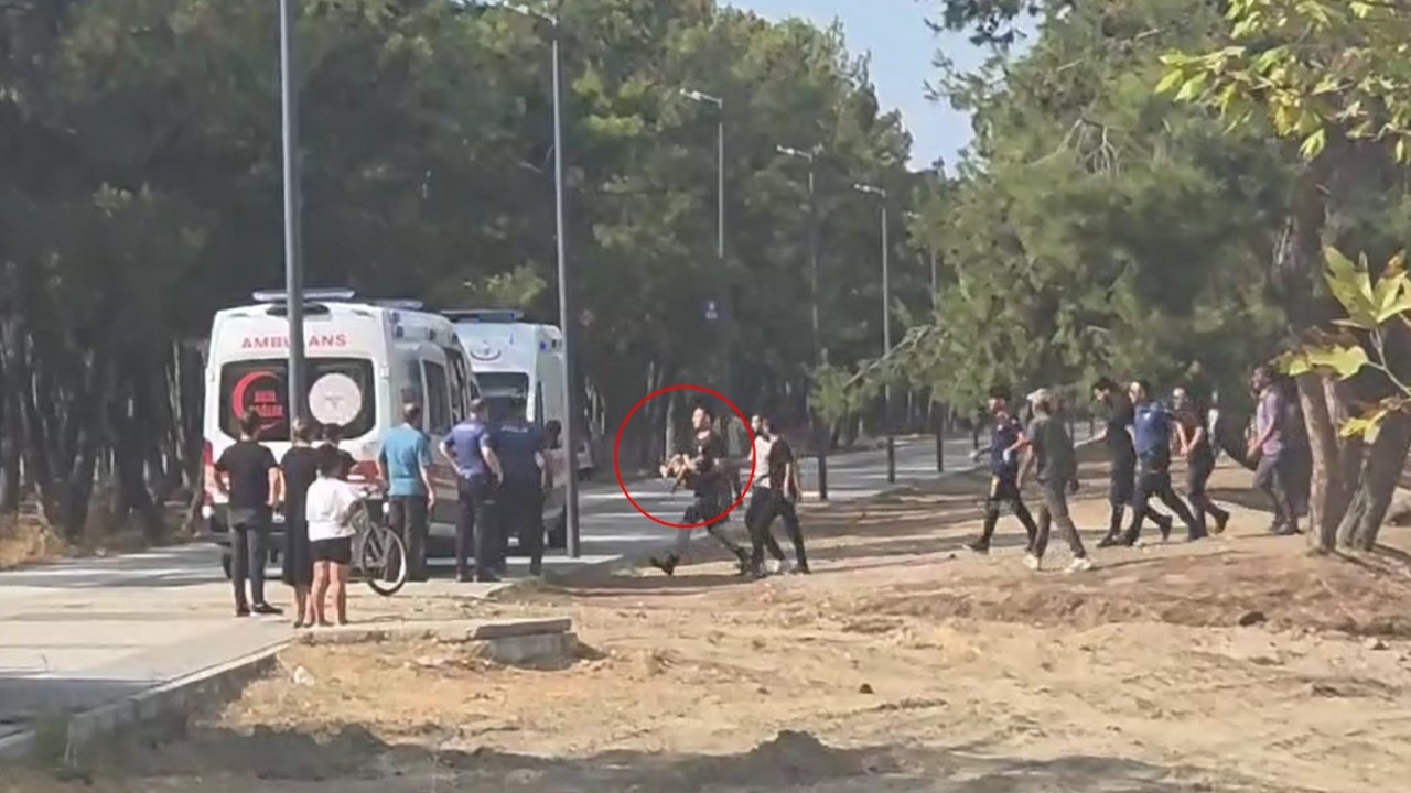 Foto - İznik Gölü'nden yürek yakan haber! 