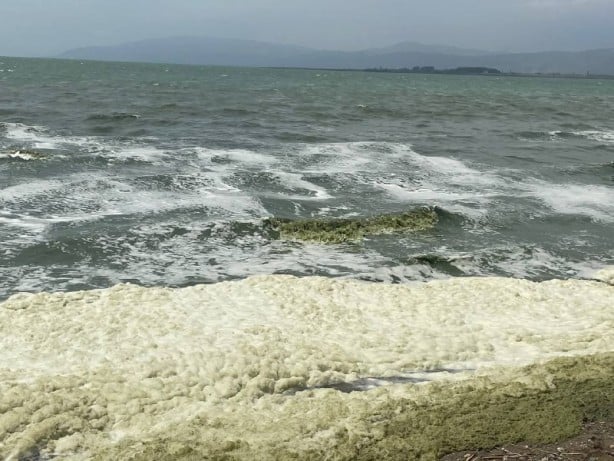 Foto - İznik'te tedirgin eden görüntü! Göle girmek yasaklandı