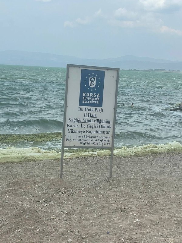 İznik'te tedirgin eden görüntü! Göle girmek yasaklandı