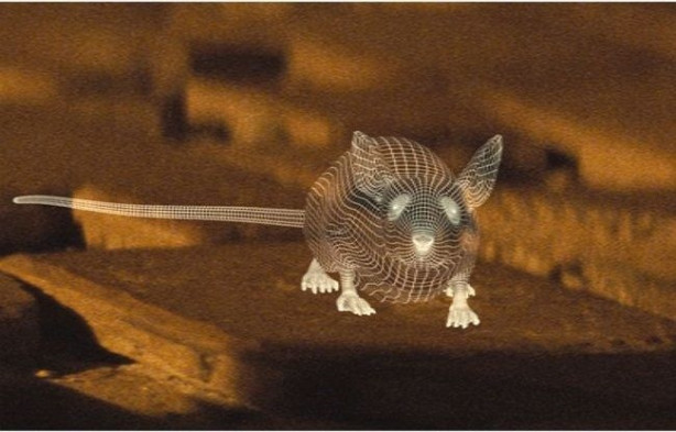 Foto - James Bond filminin sırrı ortaya çıktı!