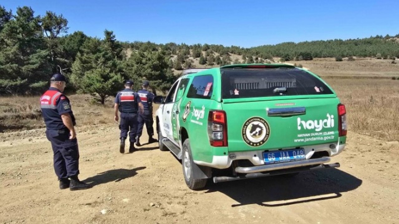 Foto - Jandarma ekipleri dikkatle koruyor! Bu bitkiyi izinsiz koparmanın cezası dudak uçuklattı