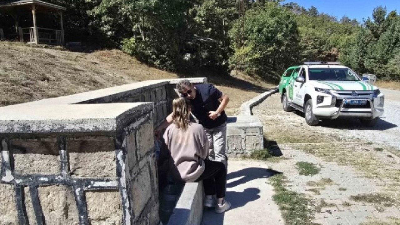 Foto - Jandarma ekipleri dikkatle koruyor! Bu bitkiyi izinsiz koparmanın cezası dudak uçuklattı