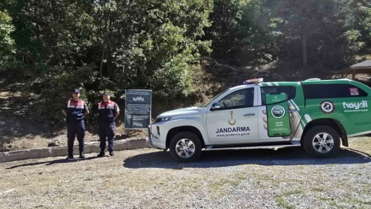 Foto - Jandarma ekipleri dikkatle koruyor! Bu bitkiyi izinsiz koparmanın cezası dudak uçuklattı