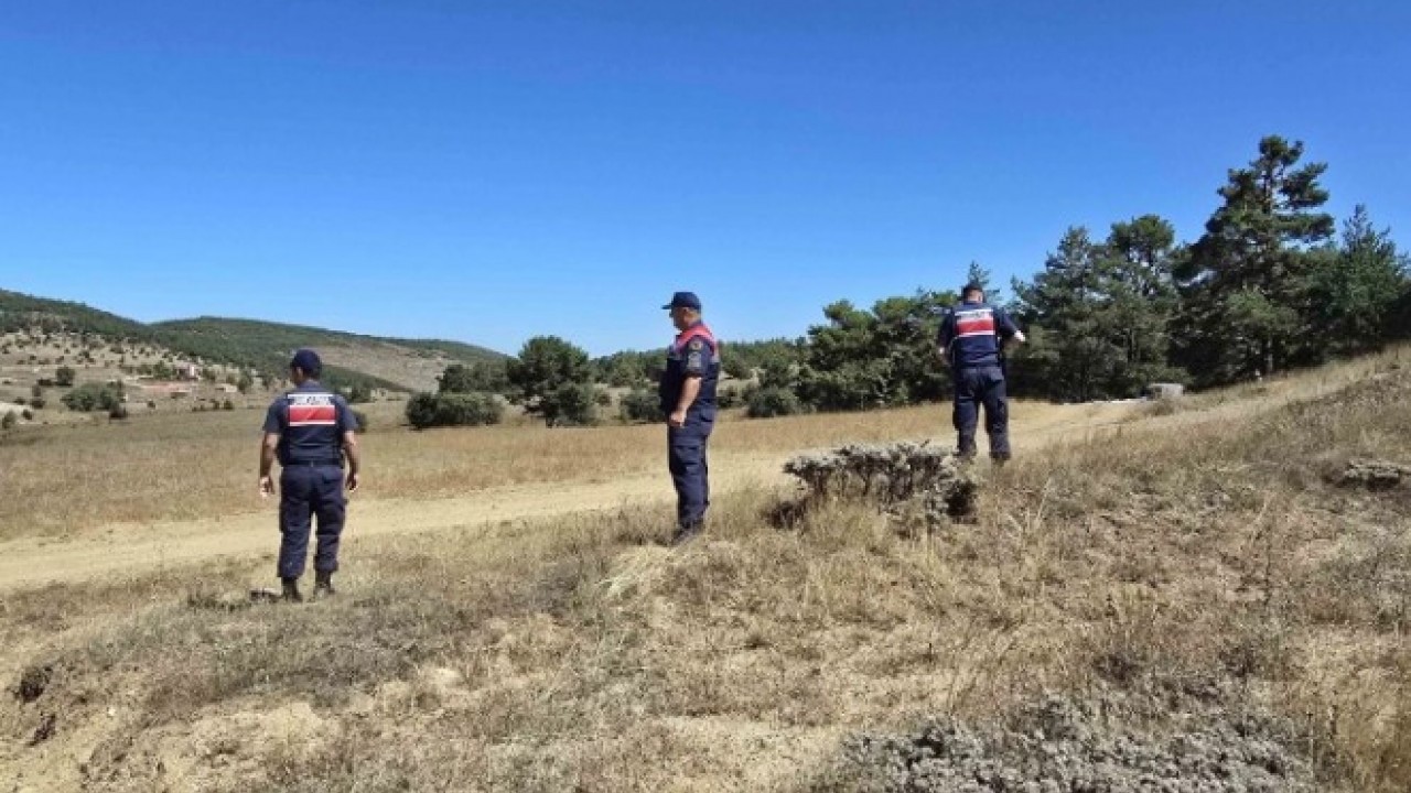 Foto - Jandarma ekipleri dikkatle koruyor! Bu bitkiyi izinsiz koparmanın cezası dudak uçuklattı
