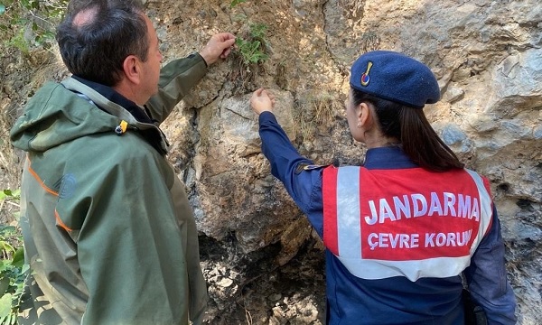 Jandarma göz açtırmıyor! Jandarma bakın ne için devriyeye çıkıyor