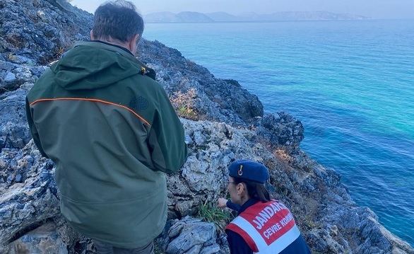 Foto - Jandarma göz açtırmıyor! Jandarma bakın ne için devriyeye çıkıyor