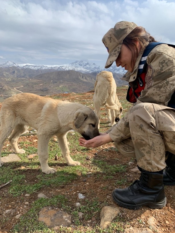 Jandarmadan yemleme çalışması