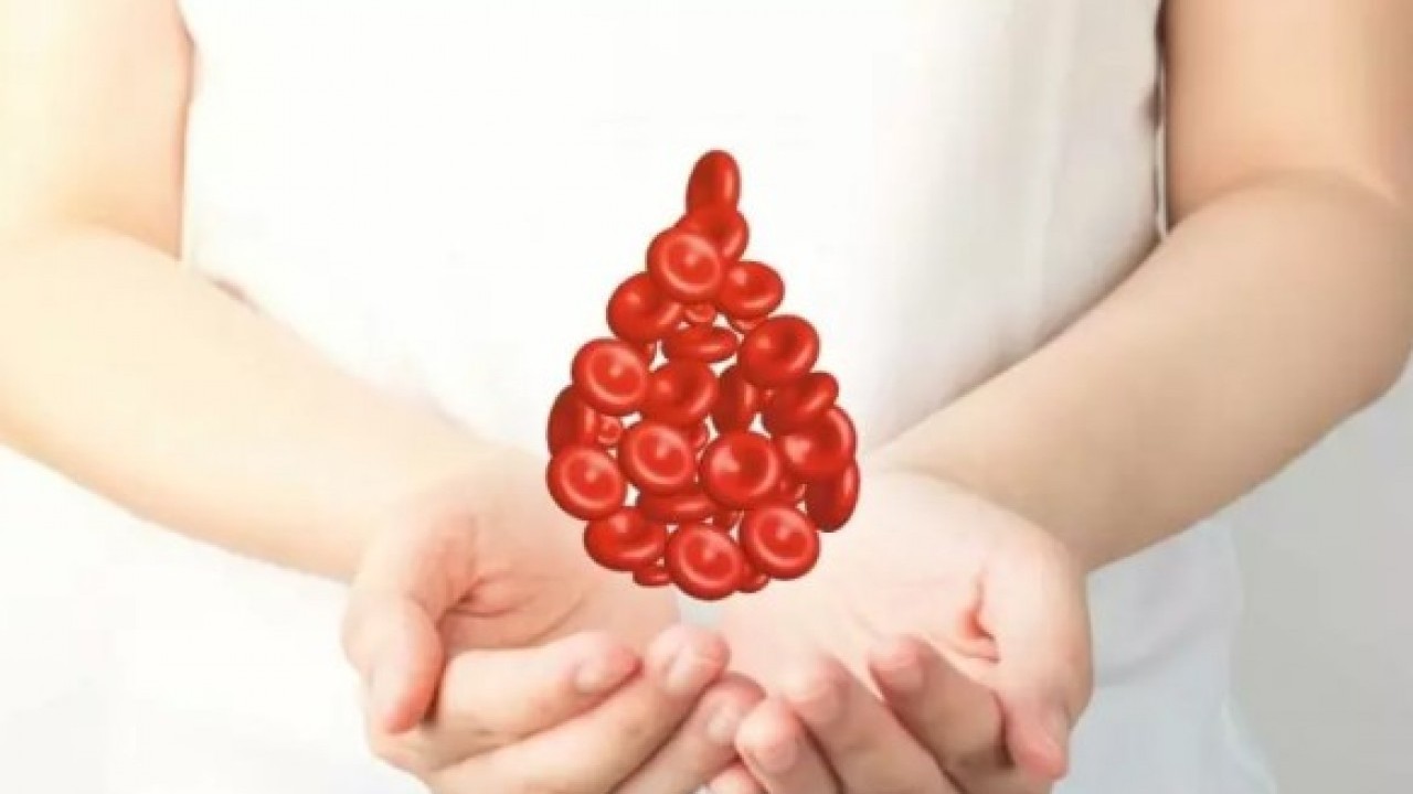 Foto - Japon bilim adamları açıkladı: Bu kan gurubuna sahipseniz özelsiniz!