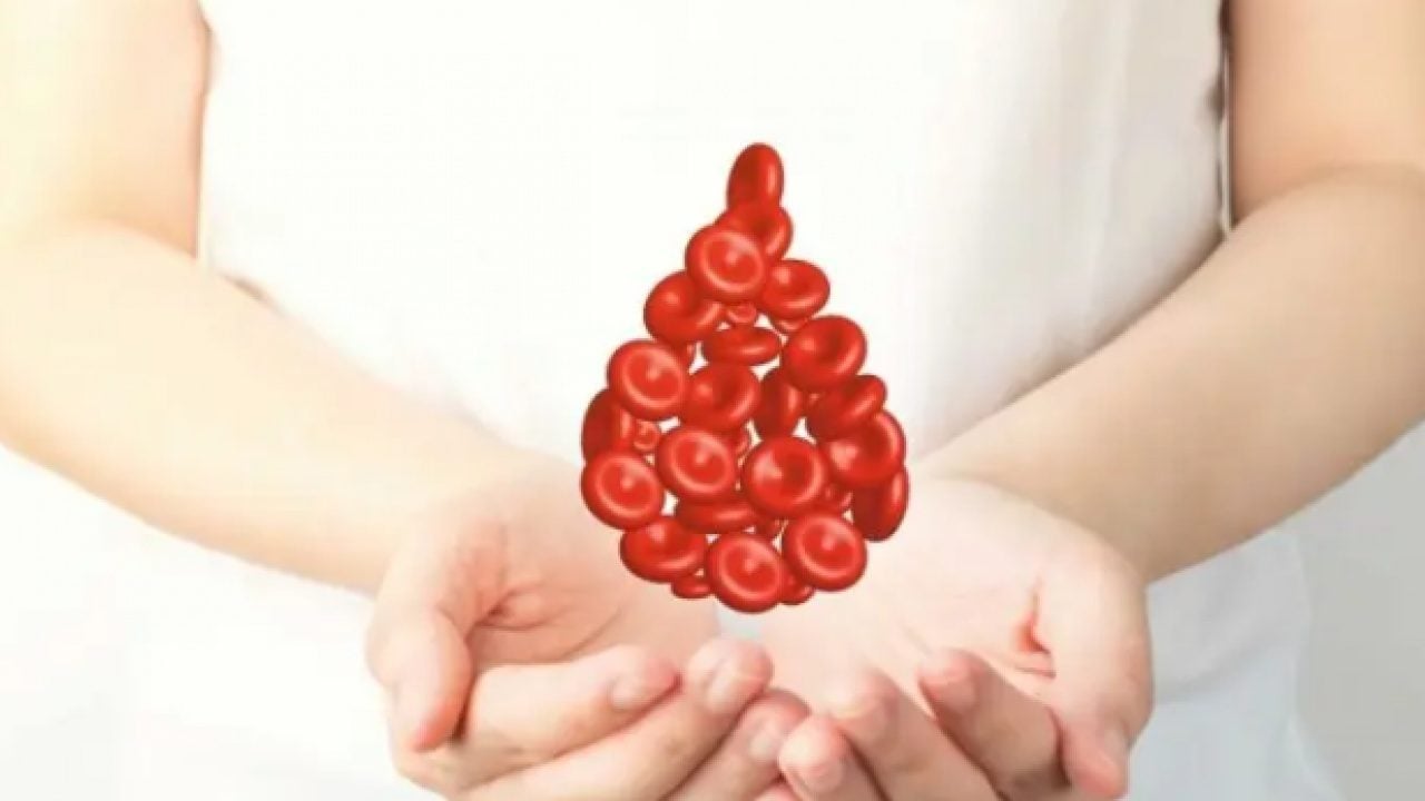 Foto - Japon bilim adamları açıkladı: En zeki kan grubu belli oldu!