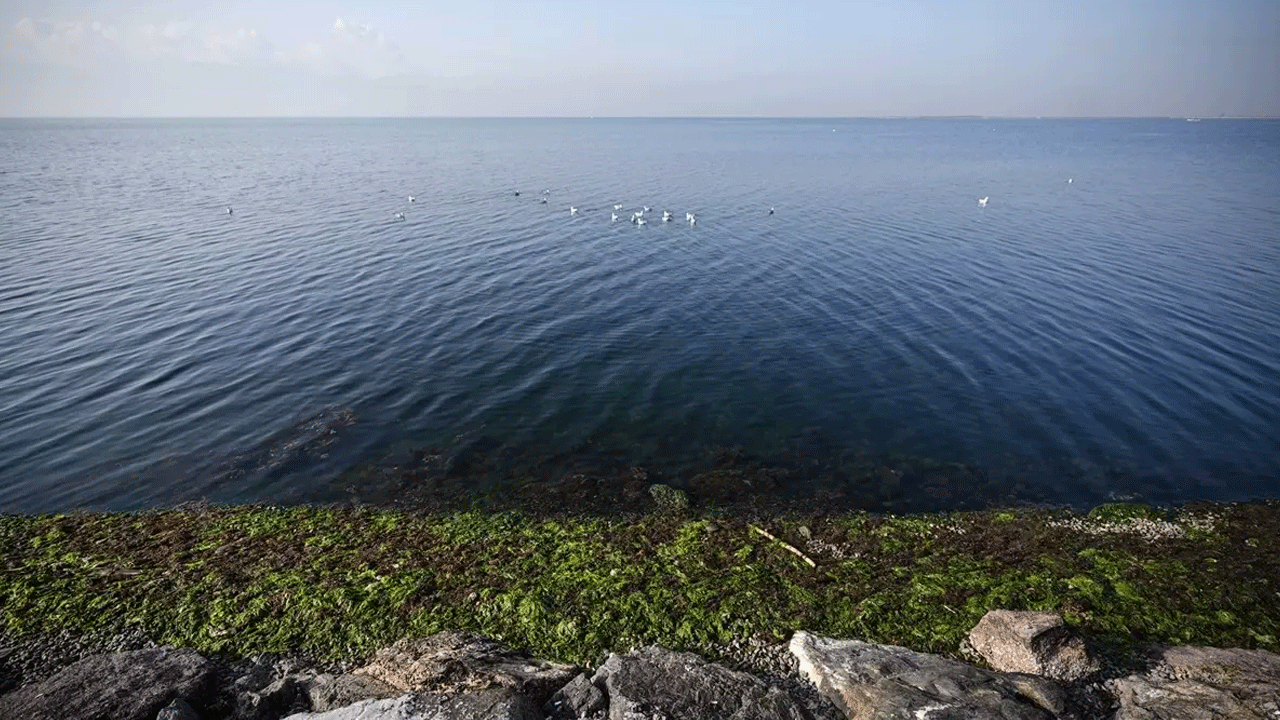 Foto - Japon deprem uzmanı Moriwaki'den korkutan sözler: Bu bölgede 7 veya 7,5 şiddetinde deprem olabilir