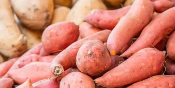 Foto - Japon diyetisyen açıkladı: Uzun ömrün sırrı bu besinde! Şaşkına çeviren sözler