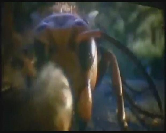 Foto - Japon eşek arılarından korkunç katliam!