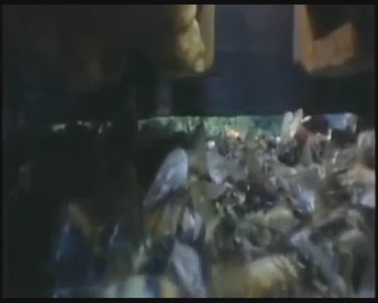 Foto - Japon eşek arılarından korkunç katliam!