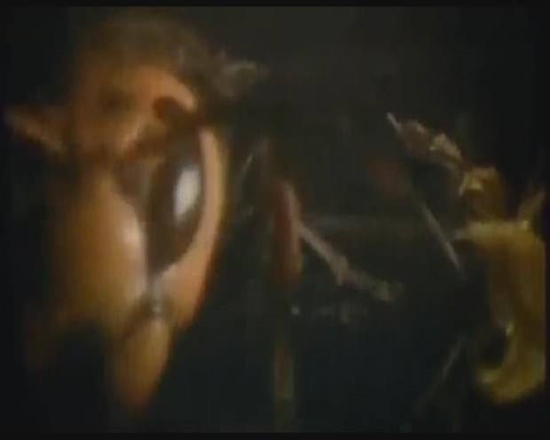 Foto - Japon eşek arılarından korkunç katliam!