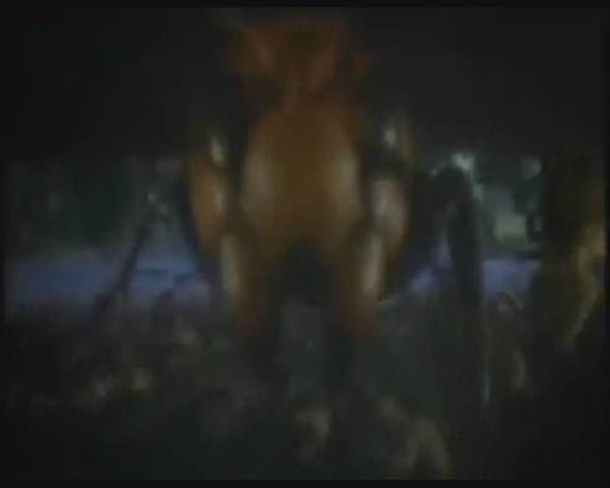 Foto - Japon eşek arılarından korkunç katliam!