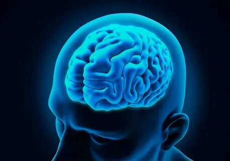 Foto - Japon gizli sırrı ortaya çıktı! Bu besin beyni gençleştiriyor