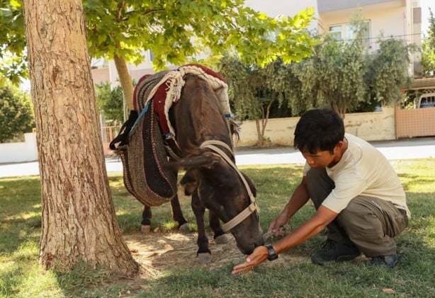 Foto - Japon turist, eşekle Türkiye'yi gezdi
