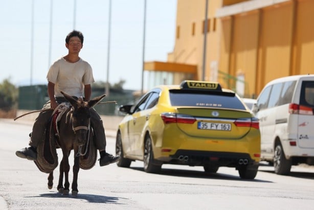 Japon turist, eşekle Türkiye'yi gezdi