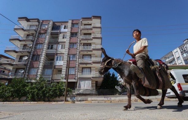 Foto - Japon turist, eşekle Türkiye'yi gezdi