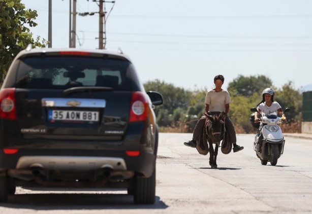 Foto - Japon turist, eşekle Türkiye'yi gezdi