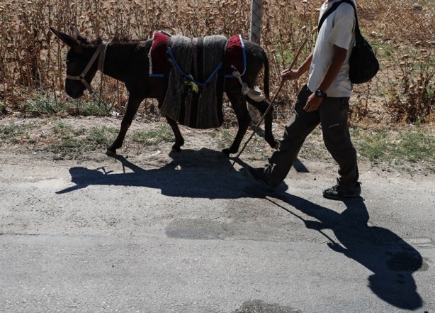 Foto - Japon turist, eşekle Türkiye'yi gezdi