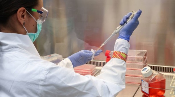 Japonlar açıkladı! İşte koranavirüse karşı en önemli silah