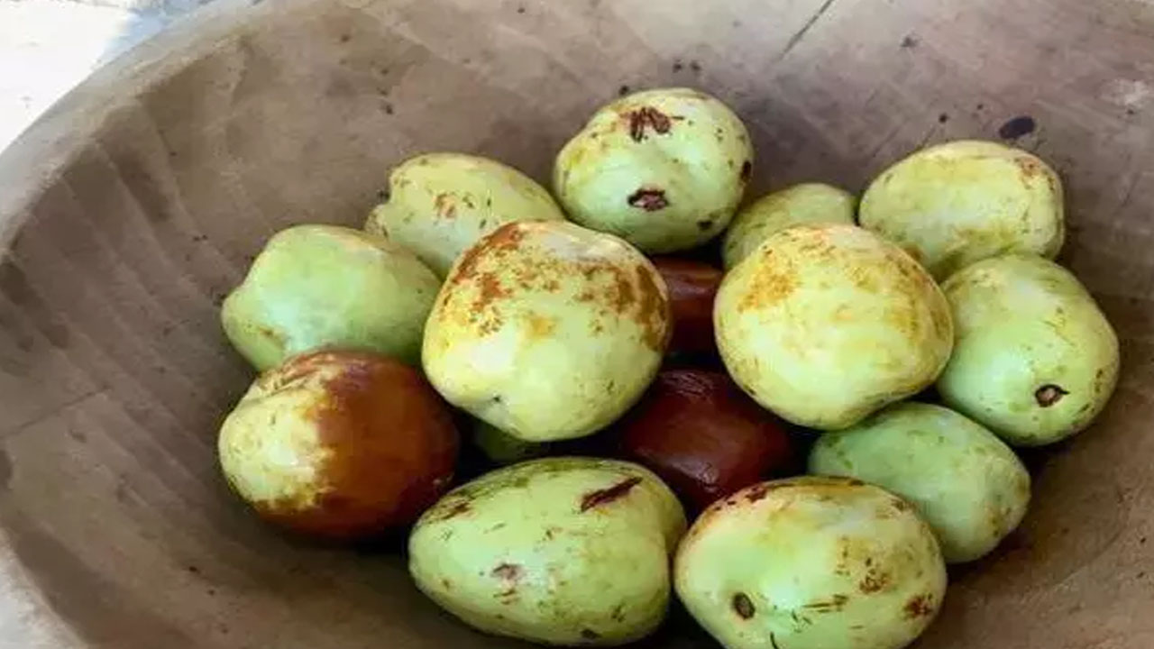 Foto - Türkiye'de yetişiyor! Kimse kıymetini bilmiyor