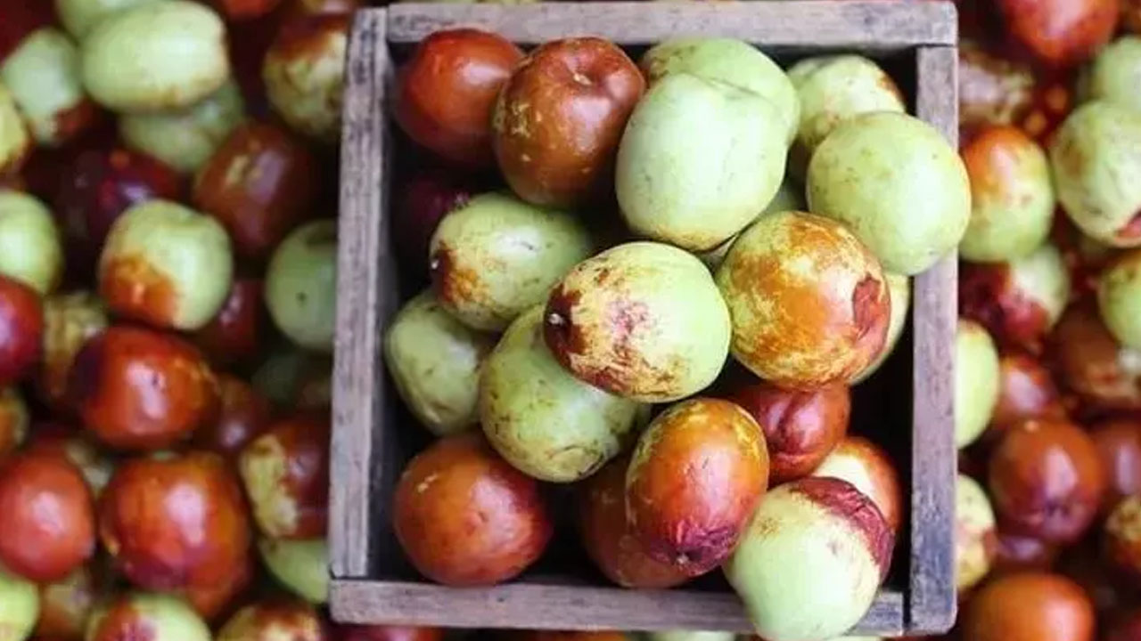 Foto - Türkiye'de yetişiyor! Kimse kıymetini bilmiyor