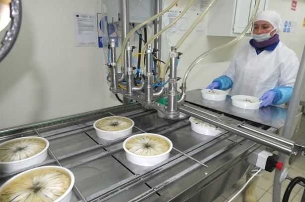 Foto - Japonlar ihracat rekorları kıran 100 yıllık Türk şirketini satın almaya karar verdi! Rakam sır gibi saklanıyor